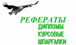 Гражданское и торговое право Германской империи для военной академии